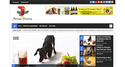 Desktop Screenshot of animalpinatas.com